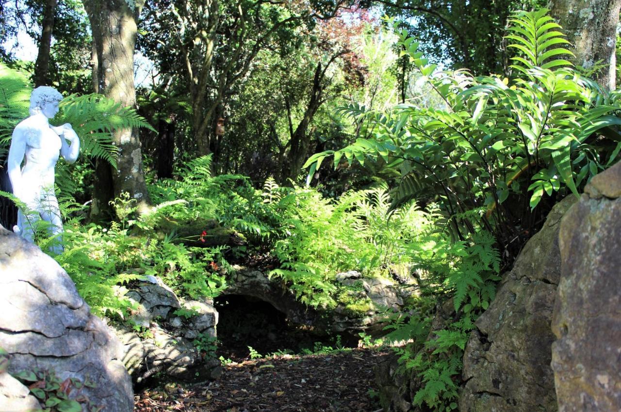 Labyrinth Gardens Guest House Takaka Kültér fotó