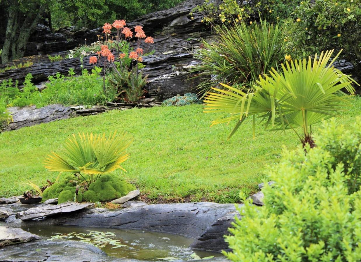 Labyrinth Gardens Guest House Takaka Kültér fotó